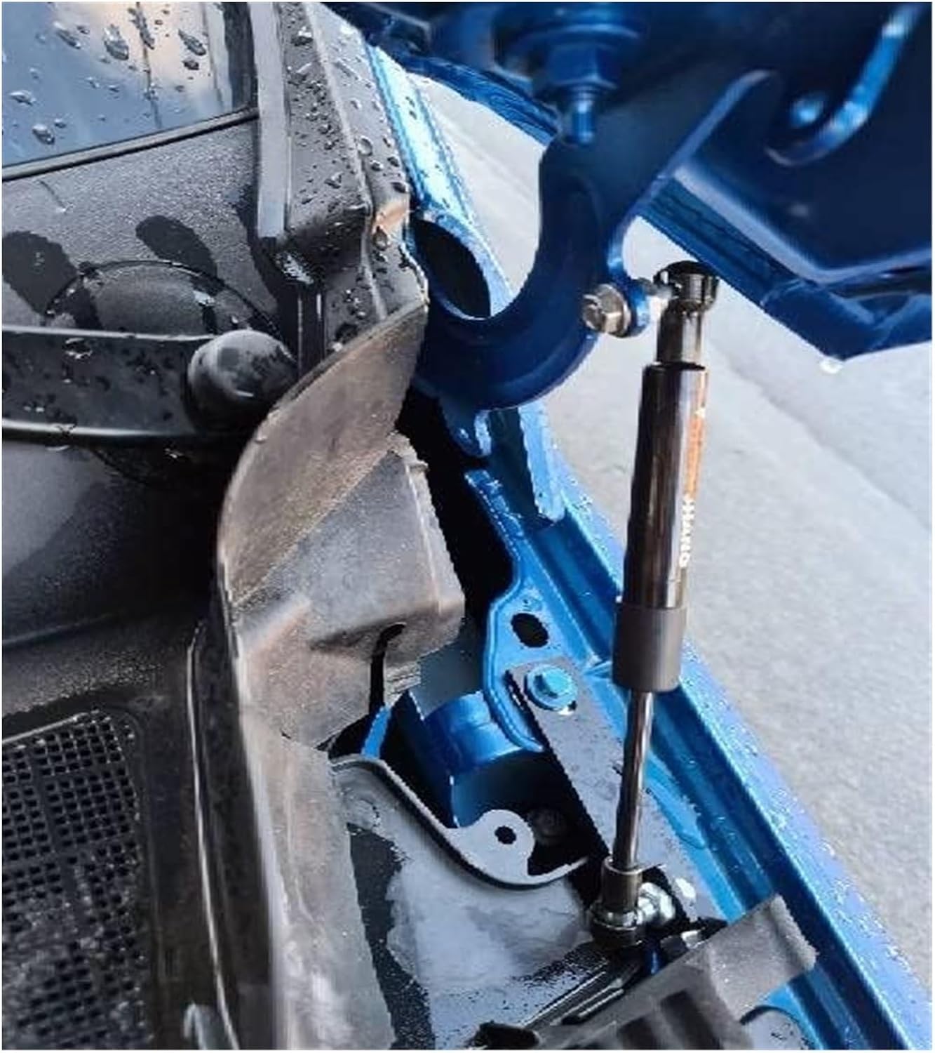 ☆A1☆箕輪 千絵子 Chieko Minowa 銅版画「接吻」限定25部 シートのみ